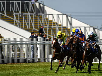 HRI to allow two owners on cou...